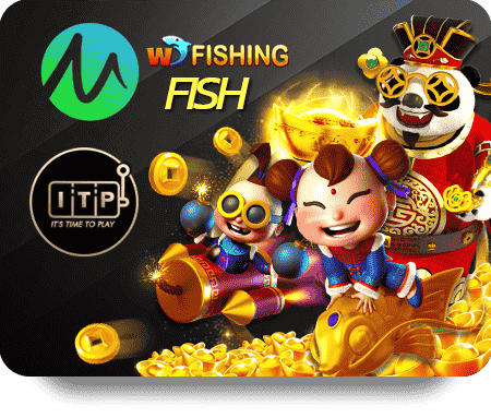 Chính Sách Bảo Hành VF555 Uy Tín VN Rõ Ràng